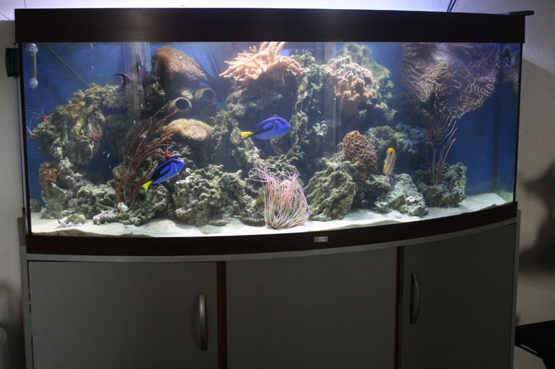 Пеноотделители для морского аквариума, купить пеноотделитель в интернет-магазине