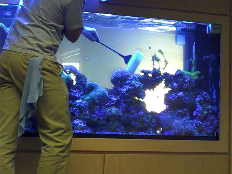 Обслуживание аквариумов в Москве